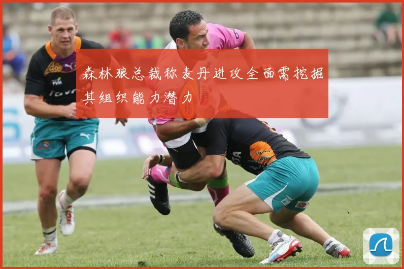 森林狼总裁称麦丹进攻全面需挖掘其组织能力潜力